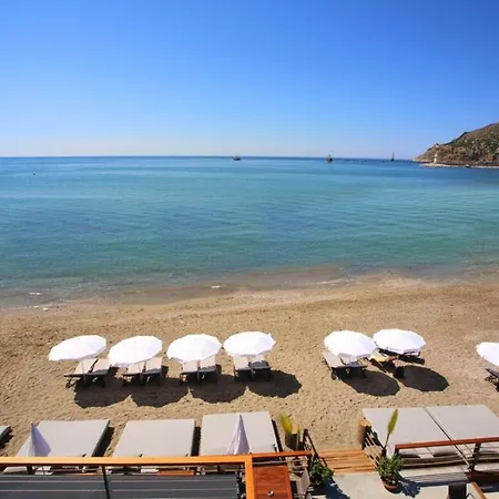 2-room In A Luxury Apartament Alanya